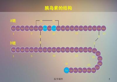 胰岛素抵抗如何消除的中医说法