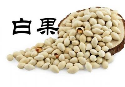 白果仁的“药”用价值你必须要了解，因为用对了才是良药，而用错了就是毒药！