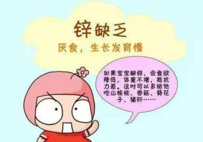 宝宝可以通过哪些食物达到补锌的功效呢？