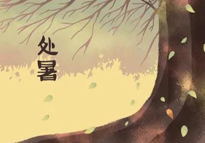 今日已是处暑，有什么要注意的呢？