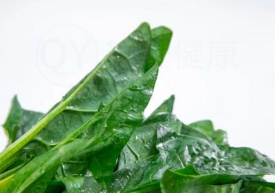 菠菜食谱推荐