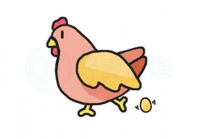 鸡心食谱推荐