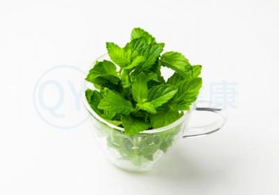 黄瓜薄荷茶的功效与作用及禁忌有哪些？