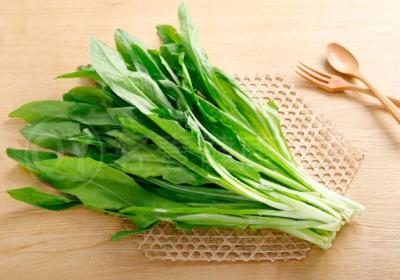 油麦菜的功效与作用及禁忌