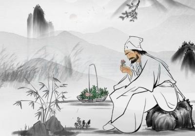葛花的功效与作用及禁忌有哪些？
