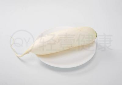 野山萝卜的营养价值和功效与作用及禁忌