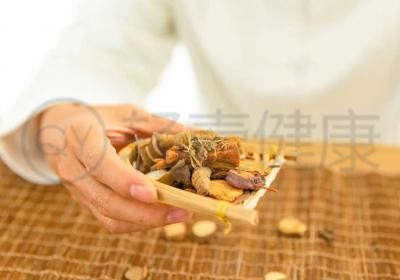 板蓝根的功效与作用及禁忌