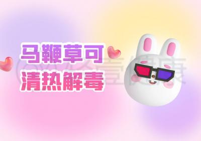 马鞭草的功效与作用及禁忌