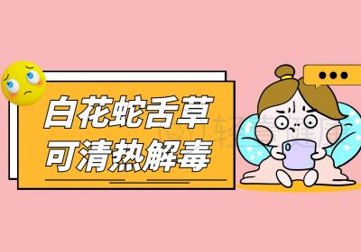 白花蛇舌草的功效与作用及禁忌