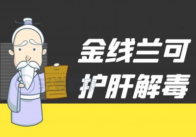 金线兰的功效与作用及禁忌有哪些？