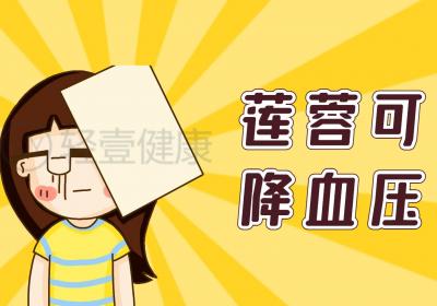 莲蓉的功效与作用及禁忌