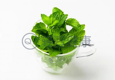 藿香与薄荷的区别有哪些？两者有这些不同之处