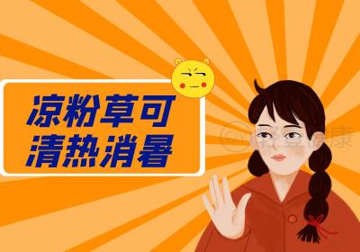 凉粉草的功效与作用及禁忌