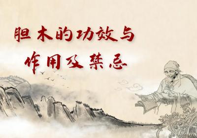 胆木的功效与作用及禁忌