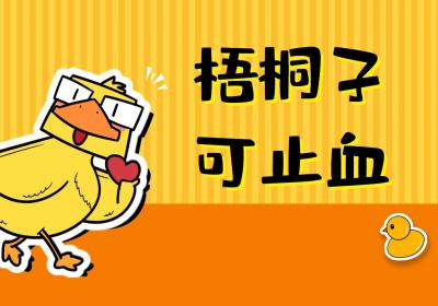 梧桐子的功效与作用及禁忌