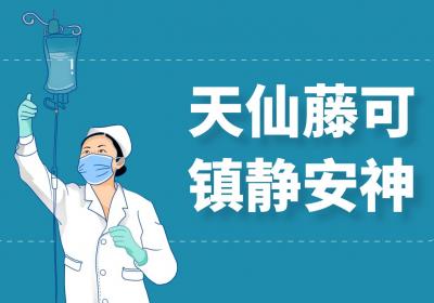 天仙藤的功效与作用及禁忌