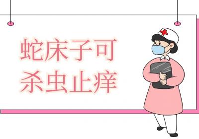 蛇床子的功效与作用及禁忌