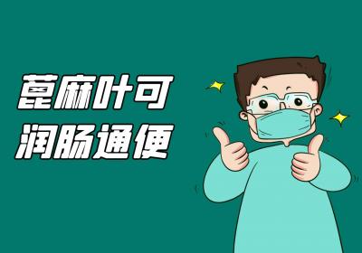 蓖麻叶的功效与作用及禁忌
