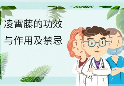 凌霄藤的功效与作用及禁忌
