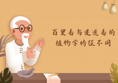 百里香与迷迭香的区别有哪些？两者有这些不同之处