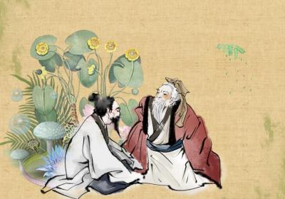 侧柏壳的功效与作用及禁忌