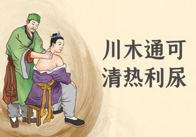 川木通的功效与作用及禁忌