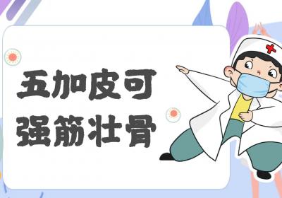 五加皮的功效与作用及禁忌