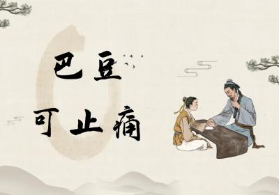 巴豆的功效与作用及禁忌