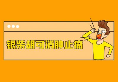 银柴胡的功效与作用及禁忌