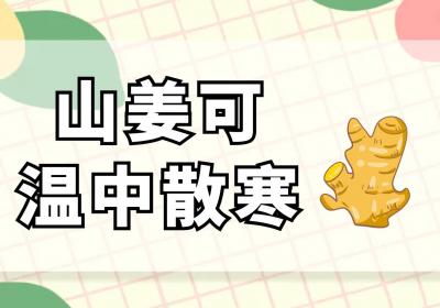 山姜的功效与作用及禁忌