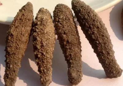 雪参的功效与作用及禁忌