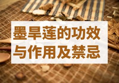 墨旱莲的功效与作用及禁忌