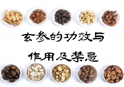 玄参的功效与作用及禁忌
