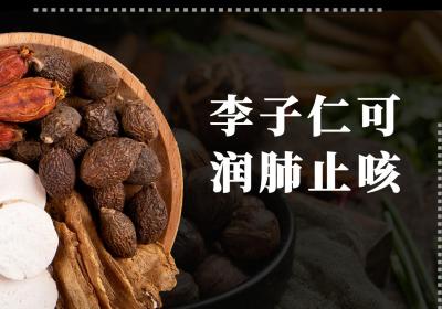 李子仁的功效与作用及禁忌