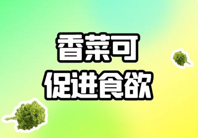 香菜的功效与作用及禁忌