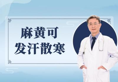 麻黄的功效与作用及禁忌