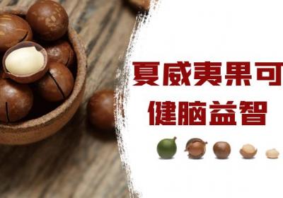 夏威夷果的功效与作用及禁忌