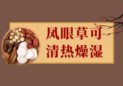 凤眼草的功效与作用及禁忌