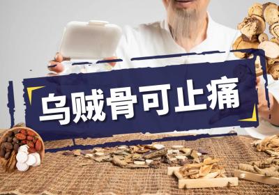 乌贼骨的功效与作用及禁忌