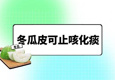 冬瓜皮的功效与作用及禁忌