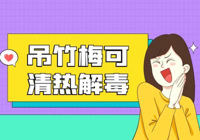 吊竹梅的功效与作用及禁忌有哪些？