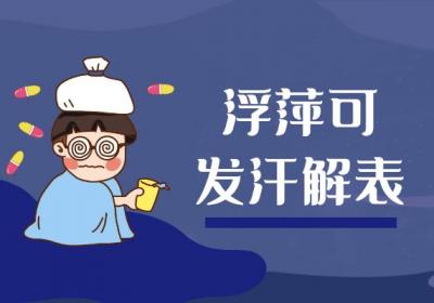 浮萍的功效与作用及禁忌有哪些？