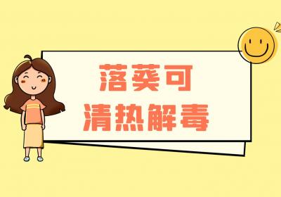因“常蔓延于篱落之间”而得名的落葵，历史悠久，你了解吗？