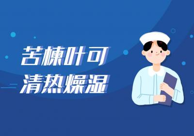 苦楝叶的功效与作用及禁忌