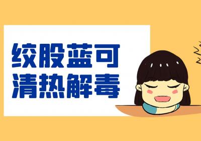 绞股蓝的功效与作用及禁忌