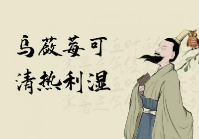 乌蔹莓的功效与作用及禁忌有哪些？
