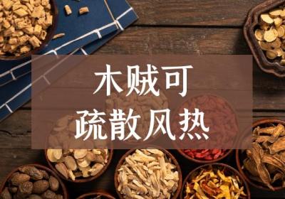 木贼的功效与作用及禁忌有哪些？