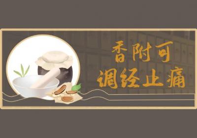 香附的功效与作用及禁忌有哪些？