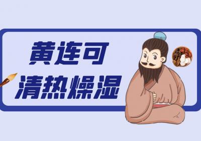 黄连的功效与作用及禁忌有哪些？