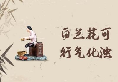 白兰花的功效与作用及禁忌